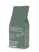 CHIT DE ROST FUGABELLA COLOR 19, 3 KG