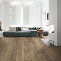 Parchet laminat Quick Step Capture 9 mm, EL3579